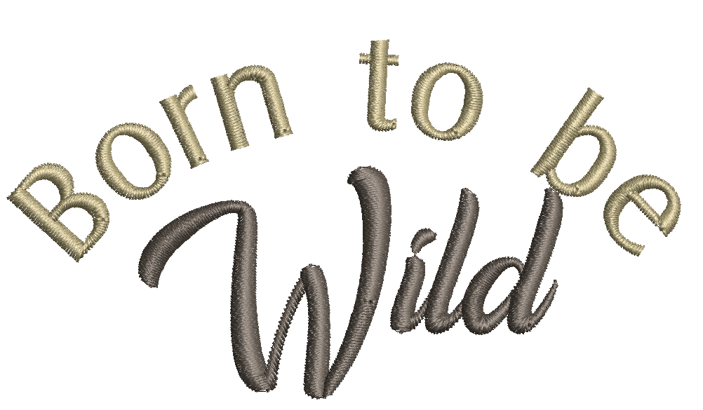 (Single) BORN TO BE WILD