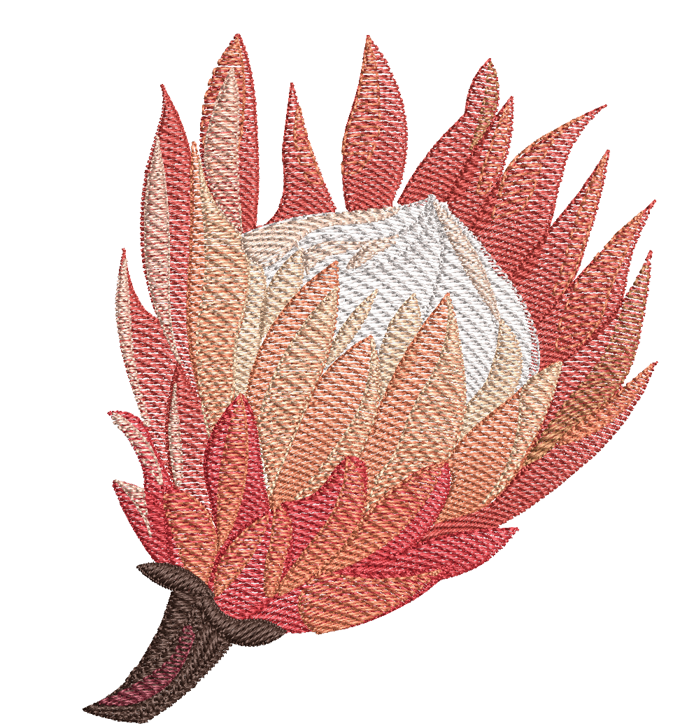 PROTEA
